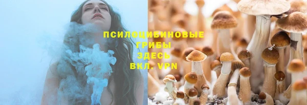 тгк Горно-Алтайск
