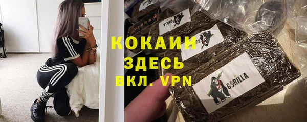 тгк Горно-Алтайск