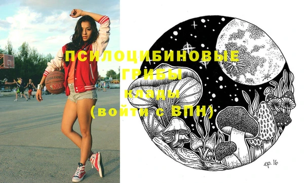 мяу мяу мука Горняк