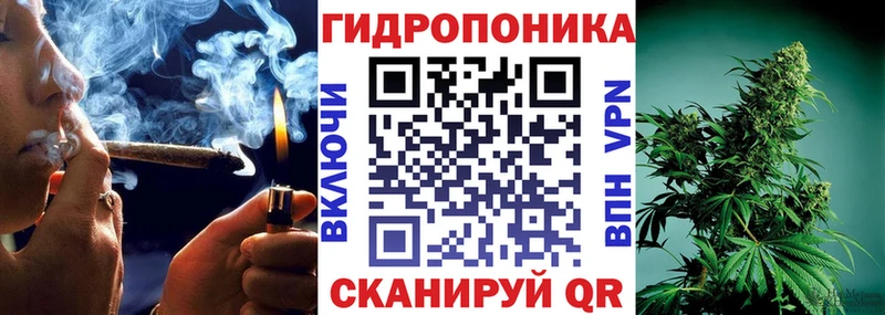 Марихуана индика  наркота  Невинномысск 